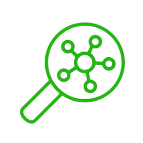 Holistic Research Approach